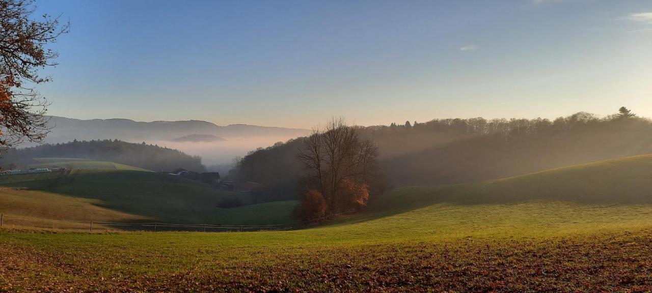 Ferienwohnung Dorfzeit Mörlenbach Dış mekan fotoğraf